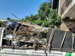 Best Moving and Downsizing Cleanouts  in Monticello, IA